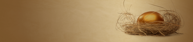 ici_page_banner_16brady.png